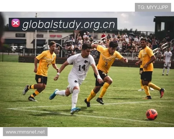 ✅体育直播🏆世界杯直播🏀NBA直播⚽- 朝鲜举办武器装备展览会 金正恩出席开幕式并发表讲话- sports